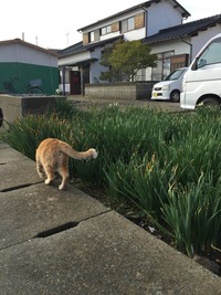 ★ 行ってみて初めてその人をちょっとだけ体感できる。と言いますか。