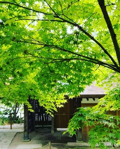 ★ 『一人ひとりに丁寧に寄り添う。』と語る言葉には、